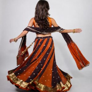 Rust & Brown Chaniya Choli Set